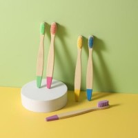 Childrens Toothbrushes