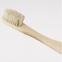 Bristle Toothbrush