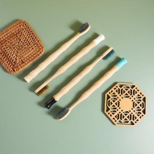 Bamboo Toothbrush