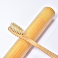 Pig Hair Toothbrush